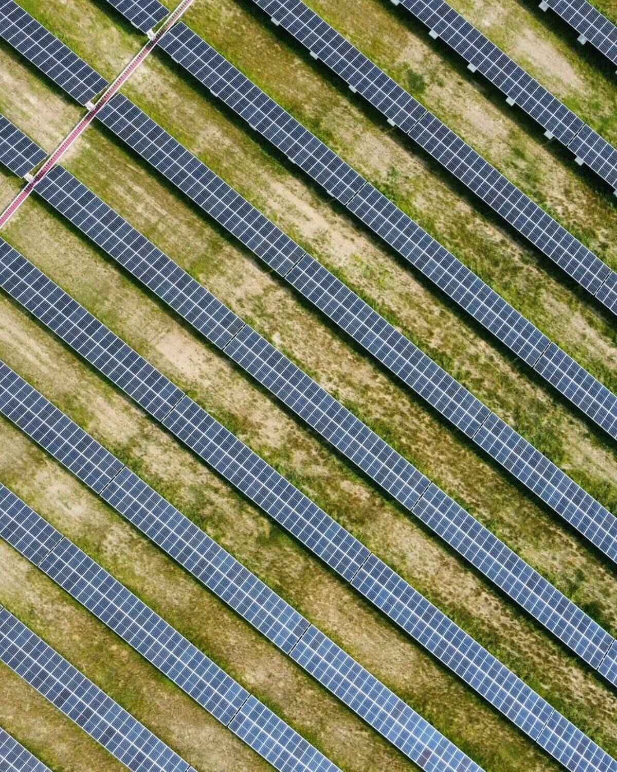 Rows of solar collectors, seen from above